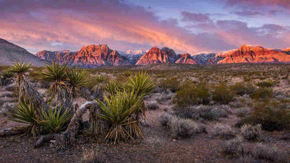 Millionaire Will Build Blockchain Smart City in Nevada | Bitcoinist.com